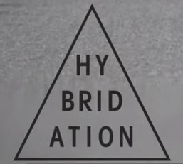logo Vidéo "HYBRIDATION" de ©Fred Mortagne