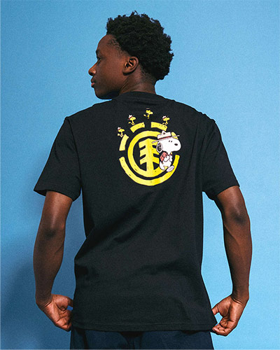 AbcSkate-skate-skateboard-element-x-peanut