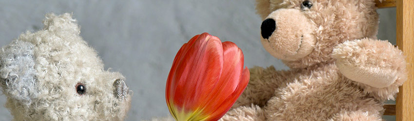 La Saint-Valentin avec Abcskate Un nounours qui offre une fleur à un autre nounours