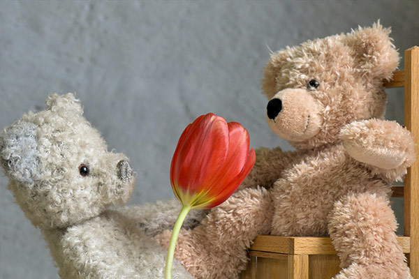 Un nounours qui offre une fleur à un autre nounours