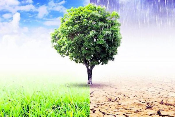 Journée internationale du climat Visuel représentant d'un côté un arbre entouré d'une pelouse verte sous un beau temps et de l'autre une terre aride et de la pluie