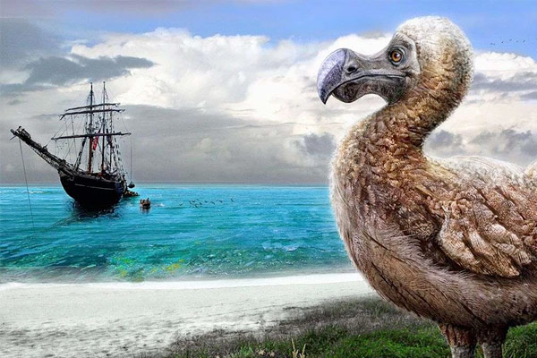 Journée internationale du climat Visuel d'un dodo regardant au loin